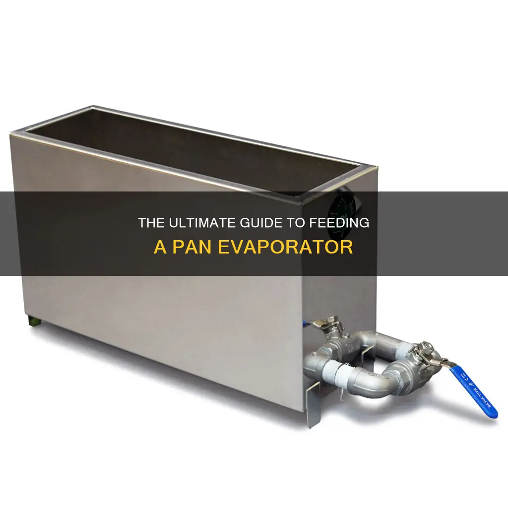 how to feed feed pan evaporator