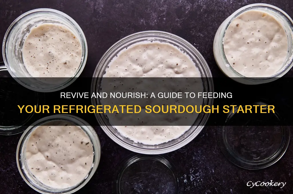 how to feed my refrigerated sourdough starter