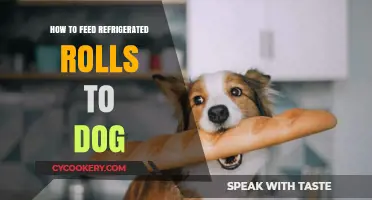 Can Dogs Eat Refrigerated Rolls? Safe Feeding Tips for Your Pet