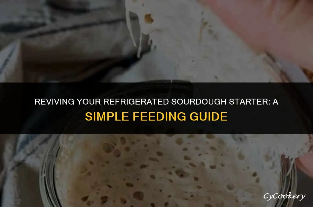 how to feed refrigerated sourdough starter in the fridge