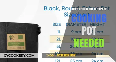 Choosing the Right Cooking Pot: Size Matters
