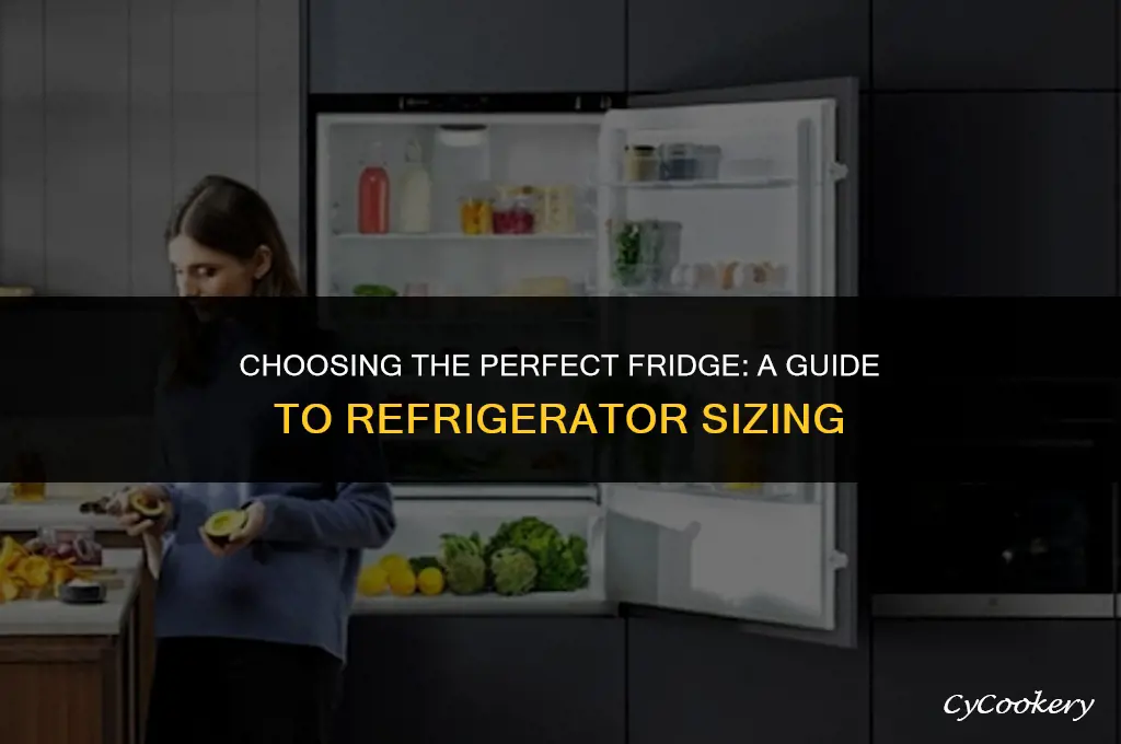 how to figure out what size refrigerator to buy
