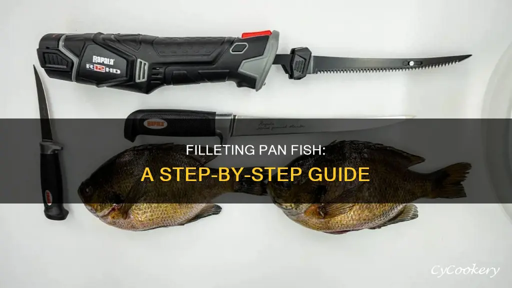 how to filet pan fish