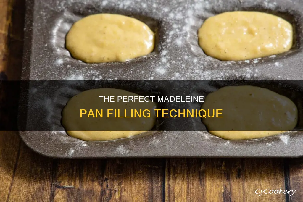 how to fill a madeleine pan