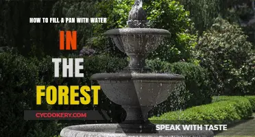 Filling a Pan with Forest Water: A Step-by-Step Guide