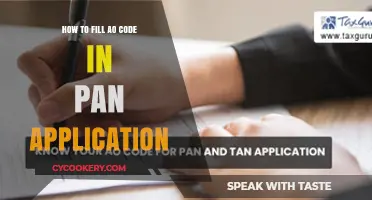 Filling out your PAN application: Understanding the AO code