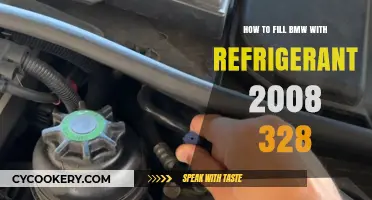 Refrigerant Refill Guide: 2008 BMW 328 AC Maintenance