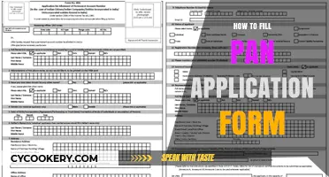 Filling Out the PAN Application: A Step-by-Step Guide