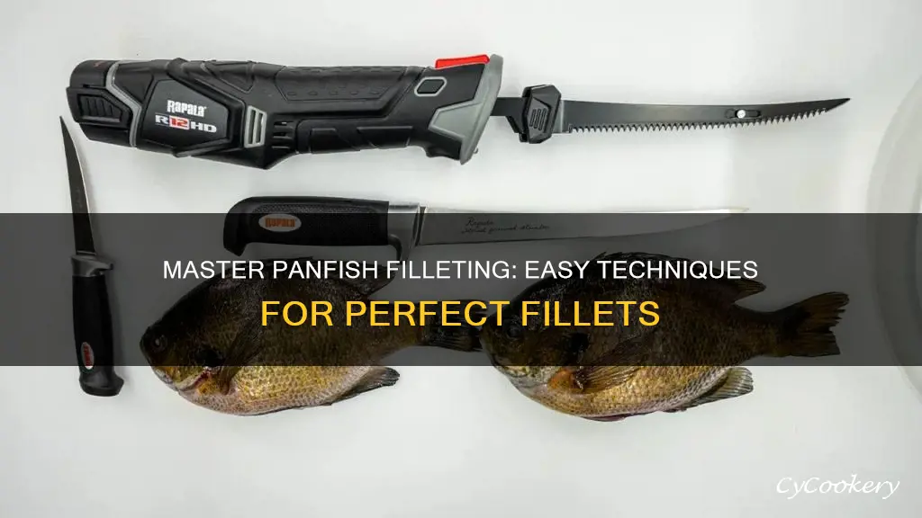 how to fillet pan fish