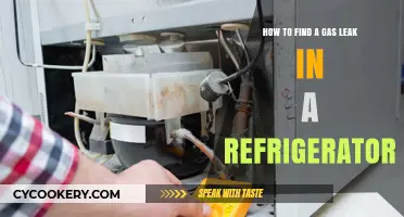 Detecting Gas Leaks in Your Refrigerator: A Safety Guide