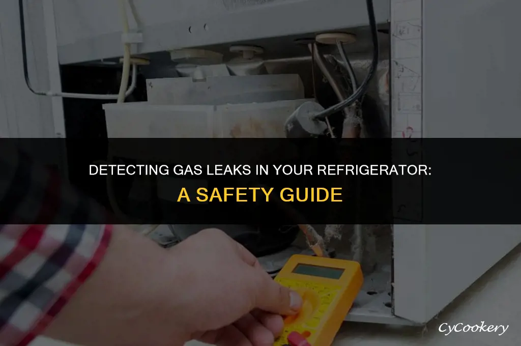how to find a gas leak in a refrigerator