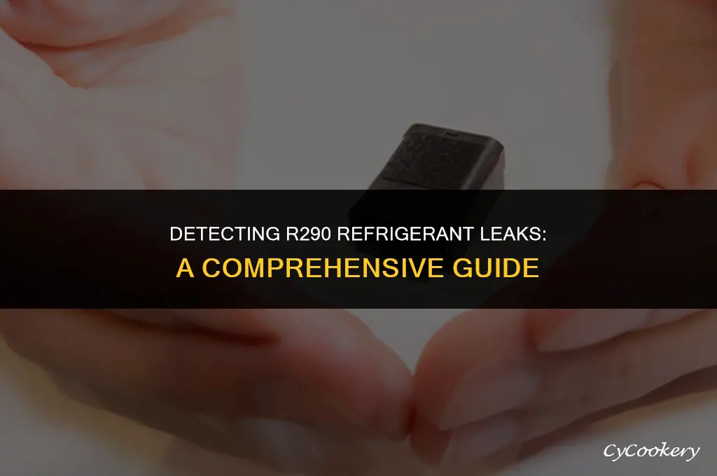 how to find a refrigerant leak in r290