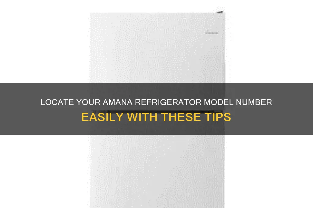 how to find amana refrigerator model number
