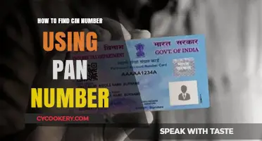 Find Your CIN Number Easily Using Your PAN Number: A Guide