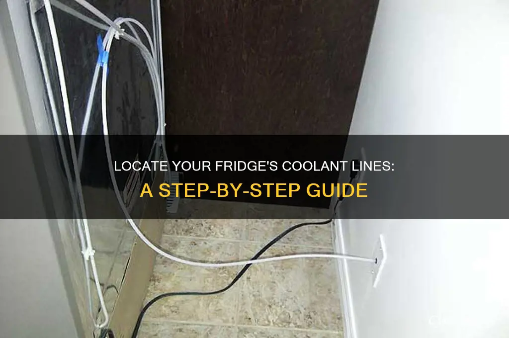 how to find coolant lines in refrigerator