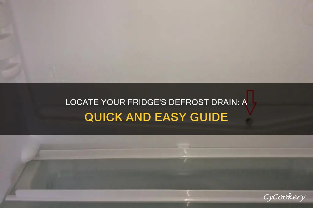 how to find defrost drain in refrigerator