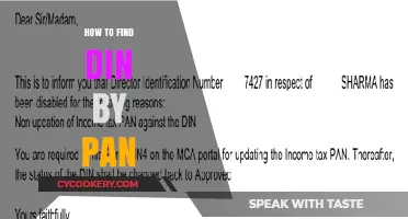 Finding DIN with PAN: A Quick Guide