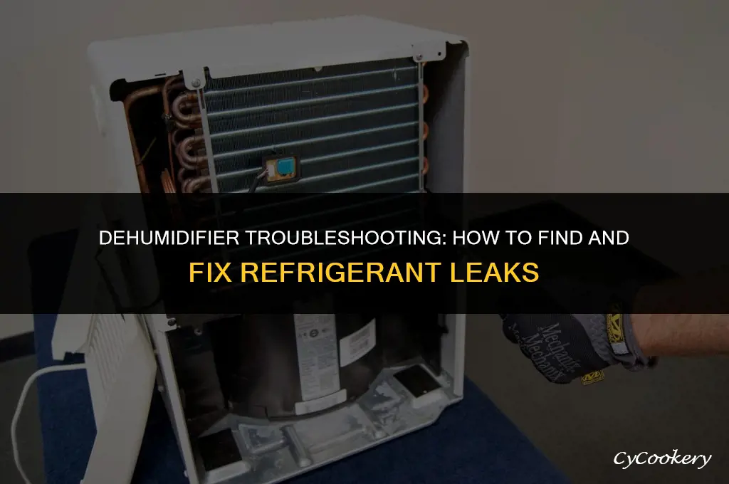 how to find leak in a dehumidifier refrigerant
