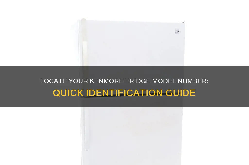 how to find model number of kenmore refrigerator