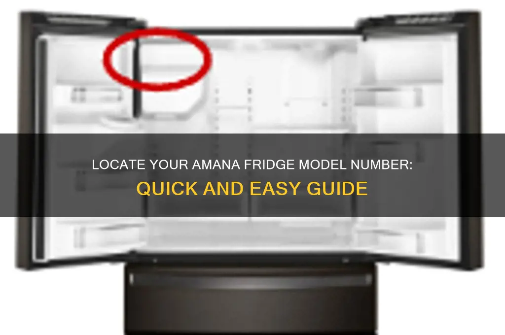 how to find model number on amana refrigerator