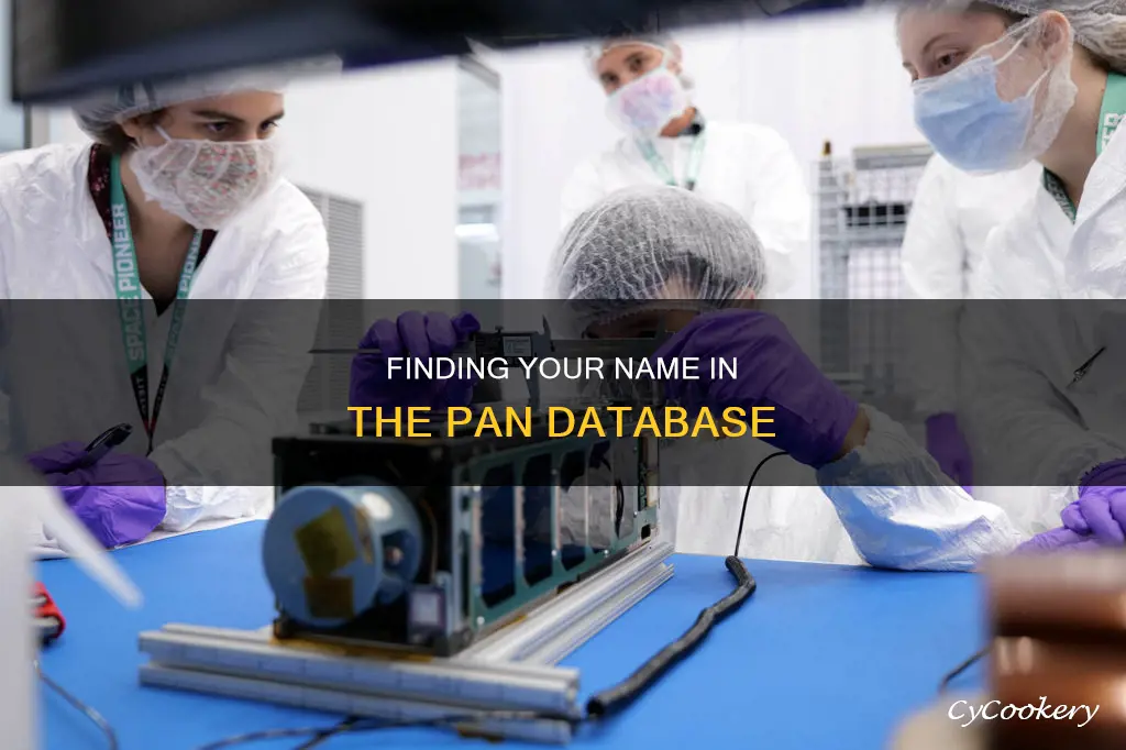 how to find my name in pan database