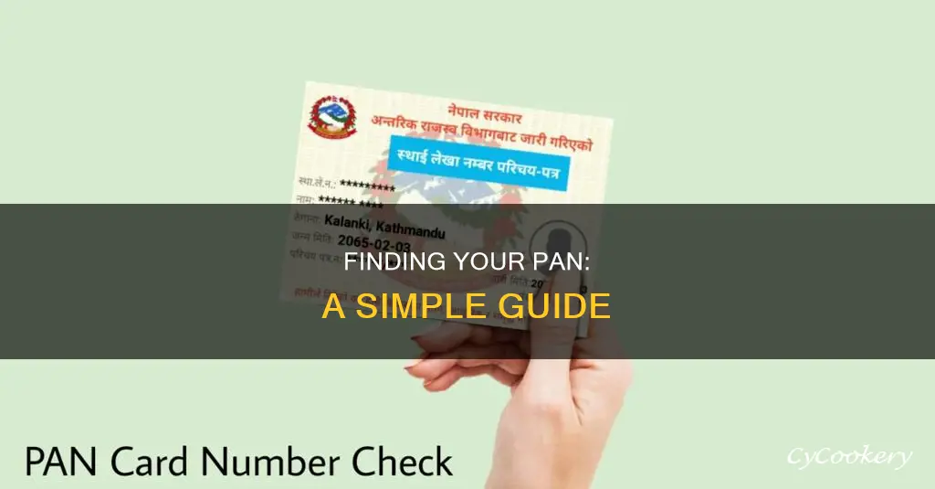how to find my pan