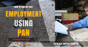 Trace Your Work History: Find Past Employment Using PAN Easily