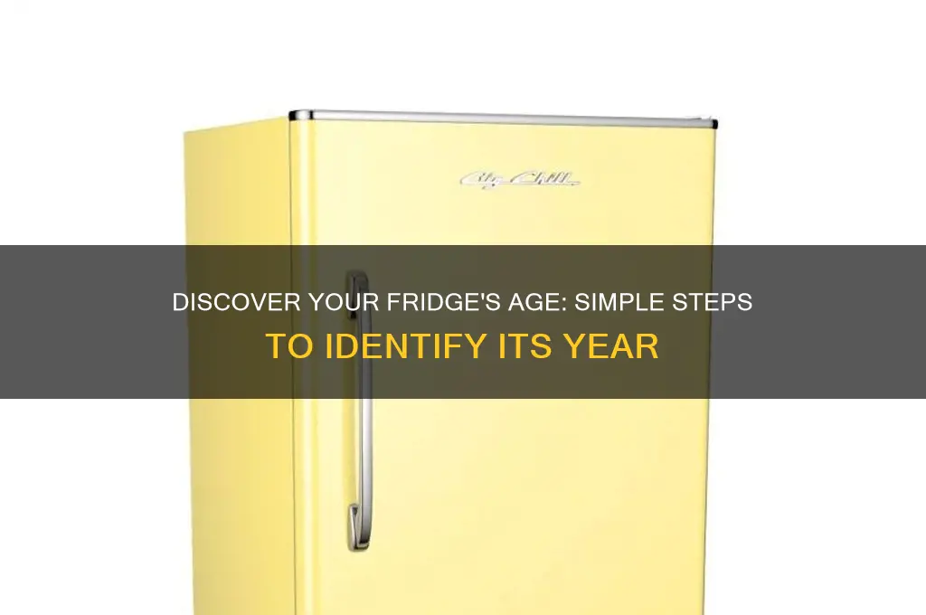 how to find out age of refrigerator