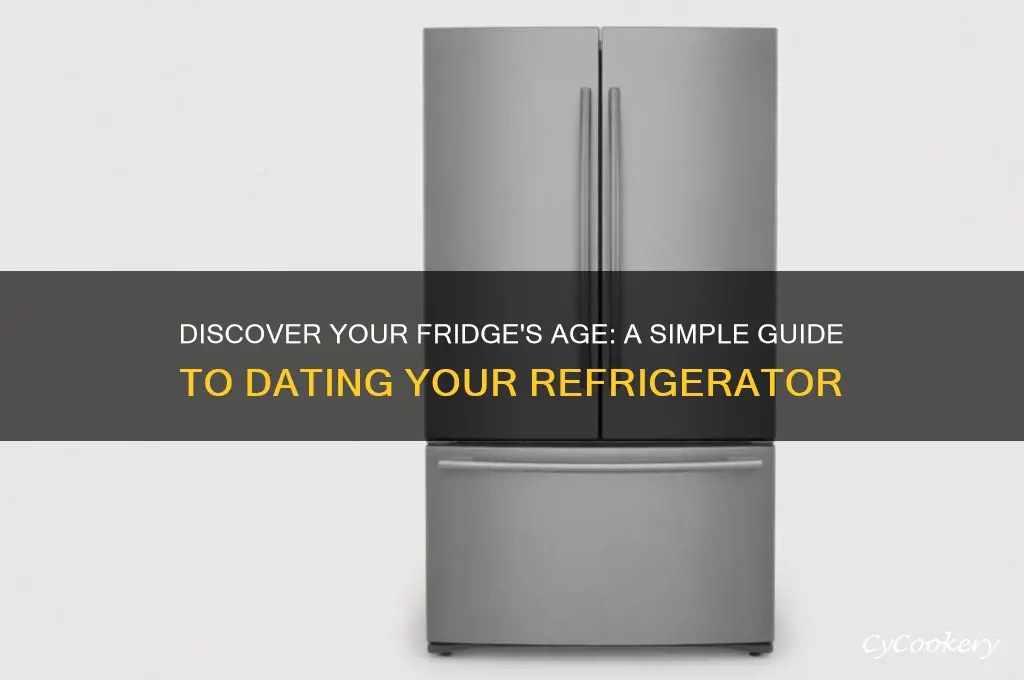 how to find out how old a refrigerator is