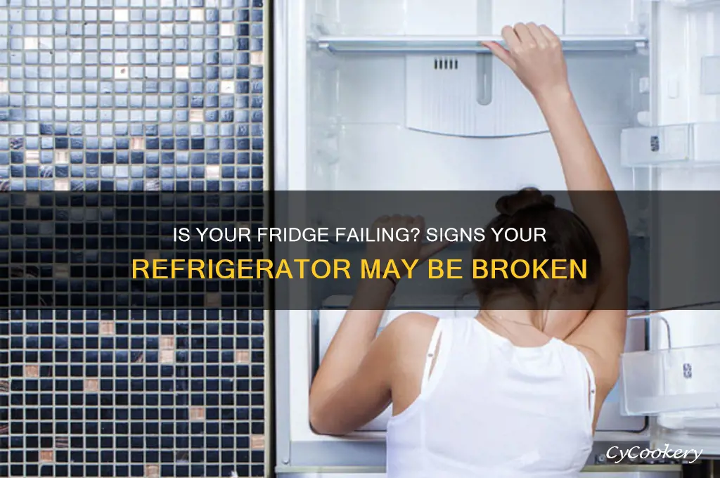 how to find out if you refrigerator is broken