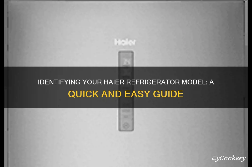how to find out model of haier refrigerator