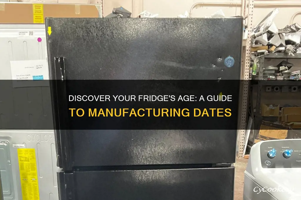 how to find out when a refrigerator was made