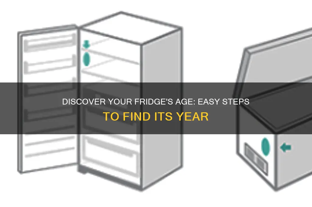 how to find out year of refrigerator