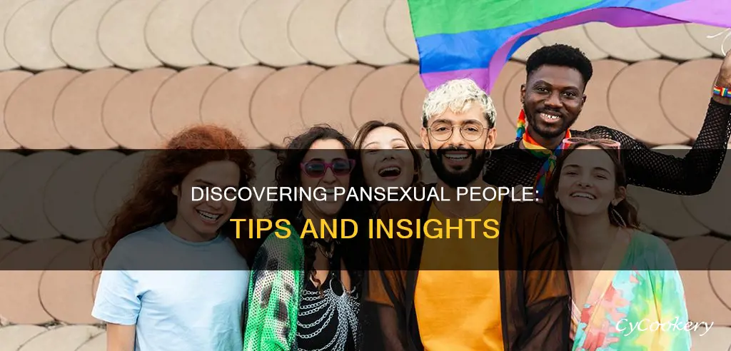 how to find pan sexual people