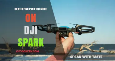 Discovering the Spark's Pano 180 Mode: A Quick Guide