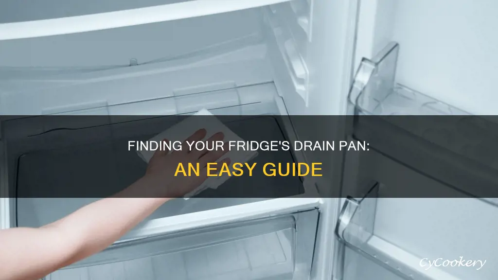how to find refrigerator drain pan