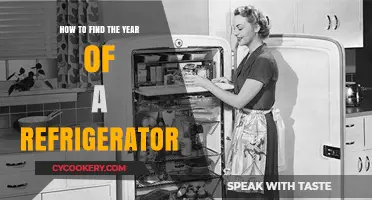 Discover Your Fridge's Age: A Guide to Finding Its Year