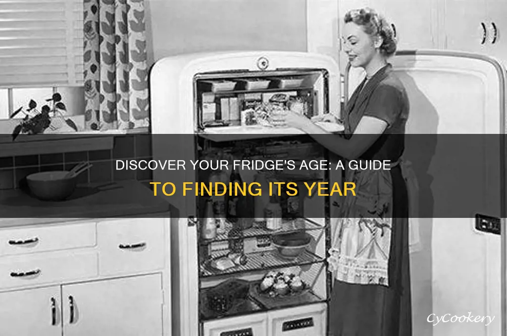 how to find the year of a refrigerator