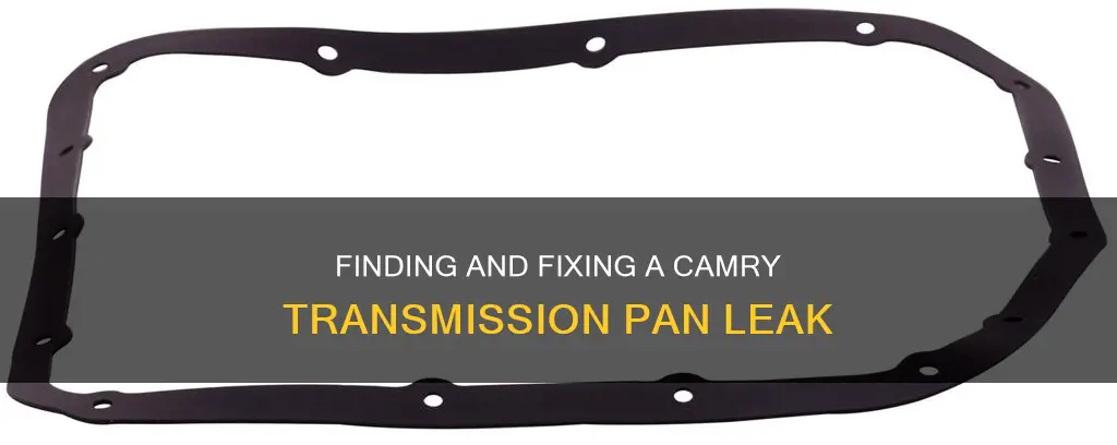 how to find trans pan leak camry