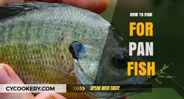 The Ultimate Guide to Panfish Angling