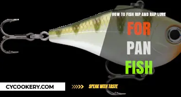 Master Pan Fish Lure Techniques