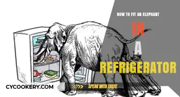 The Ultimate Guide to Fitting an Elephant in Your Refrigerator