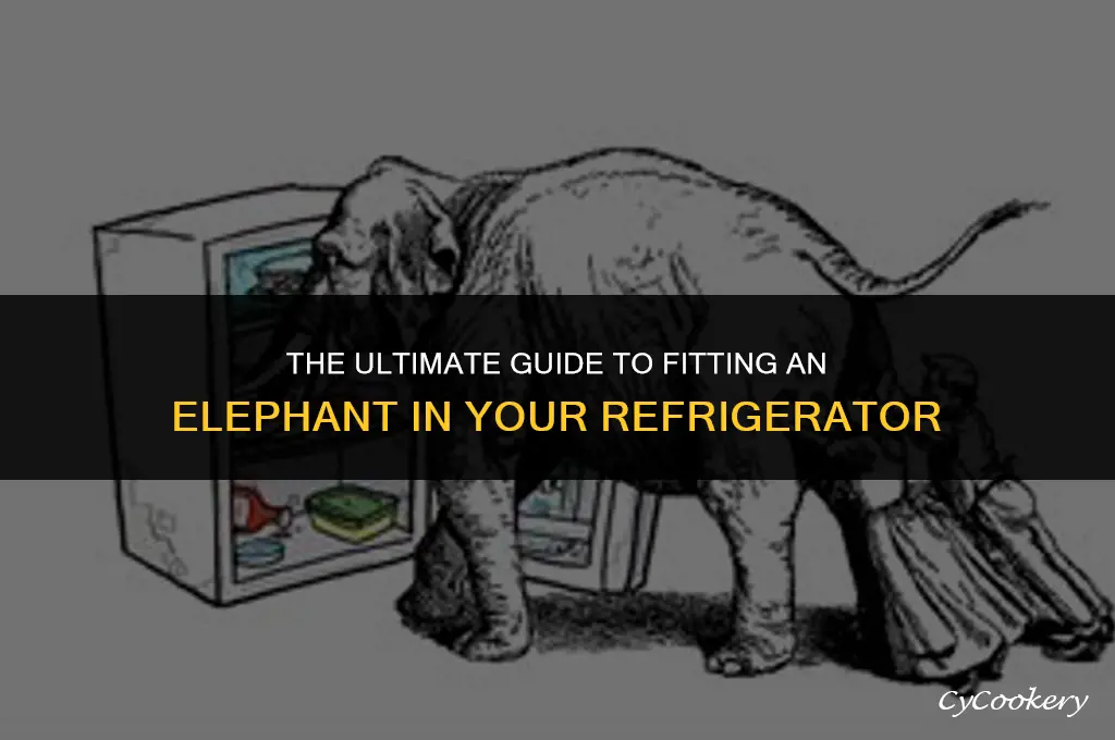 how to fit an elephant in a refrigerator
