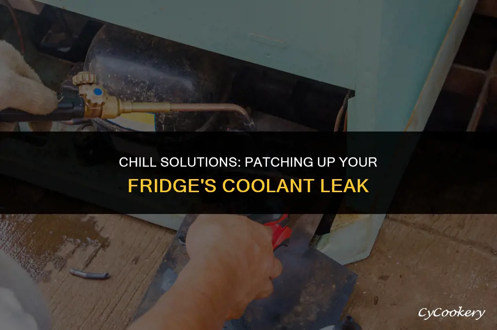 how to fix a coolant leak in a refrigerator