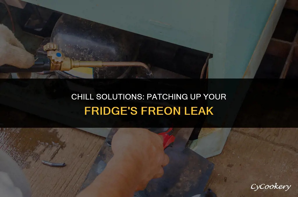 how to fix a freon leak in a refrigerator