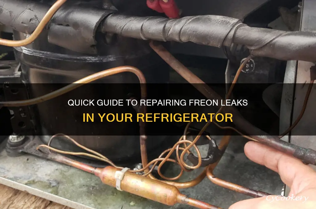 how to fix a freon leak in refrigerator
