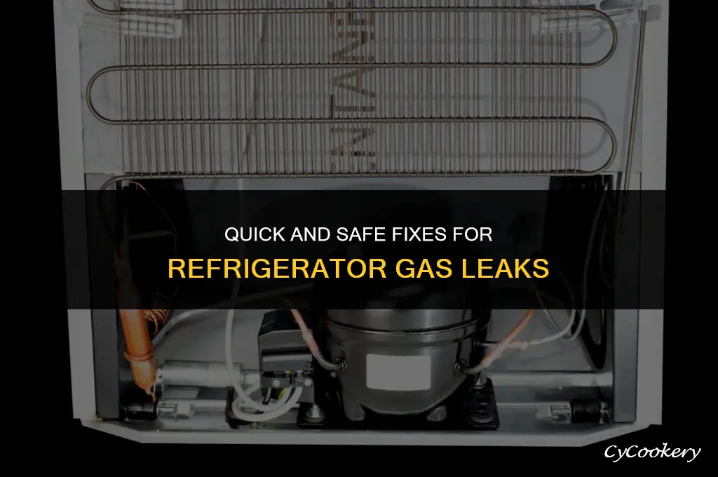 how to fix a gas leak in a refrigerator
