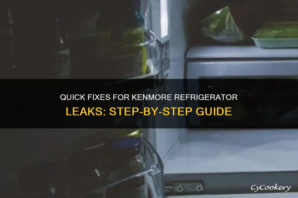 how to fix a kenmore refrigerator leak