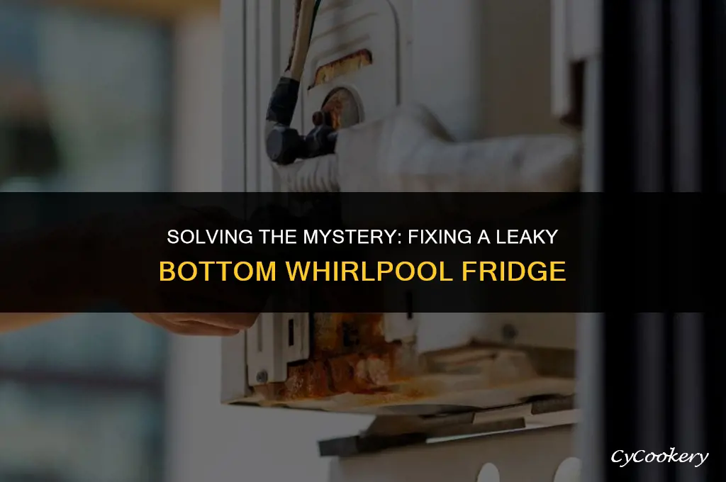 how to fix a leaky bottom whirlpool refrigerator