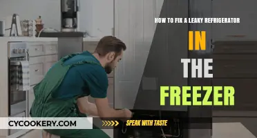 Chill Solutions: Fixing a Leaky Freezer in Your Fridge